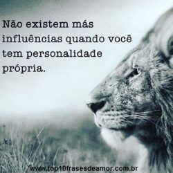 Não existem más influências