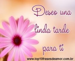 Deseo una linda tarde para ti Deseo una linda tarde para ti