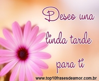 Deseo una linda tarde para ti
