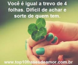 Trevo de 4 folhas