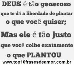 Você colhe o que plantou