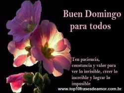 Buen Domingo para todos