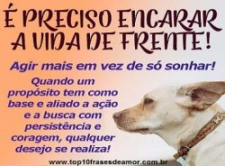 Encarar a vida de frente