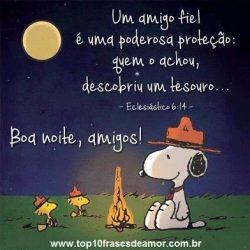 Boa Noite, Amigos!