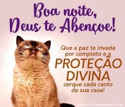 Boa Noite, Deus te Abençoe!