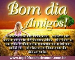 Bom Dia Amigos!