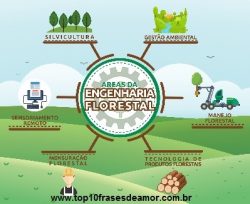 Viva o Engenheiro Florestal! Viva o Engenheiro Florestal!