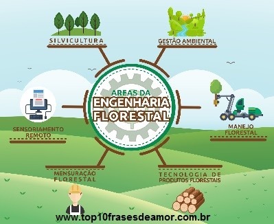 Viva o Engenheiro Florestal!