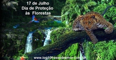 Proteção às Florestas