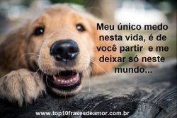 Meu único medo nesta vida Meu único medo nesta vida