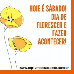 Hoje é Sábado! Hoje é Sábado!