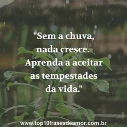 Sem chuva nada cresce