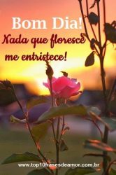 Nada que floresce me entristece!