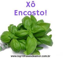 Xô encosto! Xô encosto!