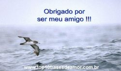 Obrigado por ser meu amigo!!!