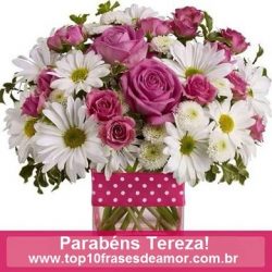 Parabéns Tereza! Parabéns Tereza!