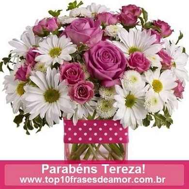 Parabéns Tereza!