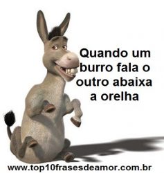 Quando um burro fala