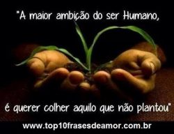 A maior ambição do ser humano A maior ambição do ser humano