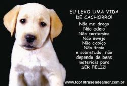Eu levo uma vida de cachorro! Eu levo uma vida de cachorro!