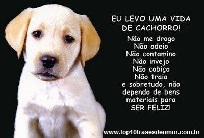 Eu levo uma vida de cachorro!
