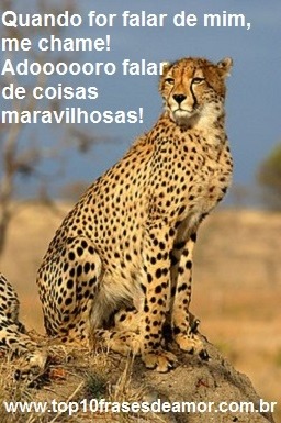 Quando for falar de mim