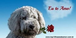 Eu te Amo! Eu te Amo!