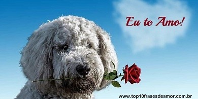 Eu te Amo!
