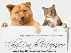 Feliz Dia do Veterinário! Feliz Dia do Veterinário!