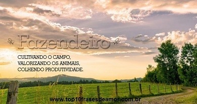 Parabéns Fazendeiro!