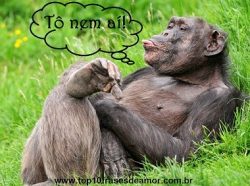 Tô nem aí! Tô nem aí!