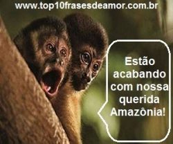 Preserve a Amazônia! Preserve a Amazônia!