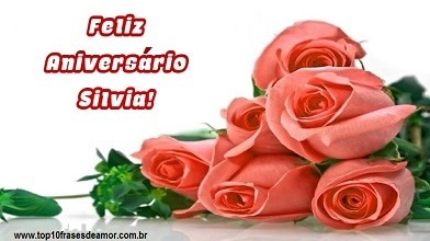 Feliz Aniversário Silvia!