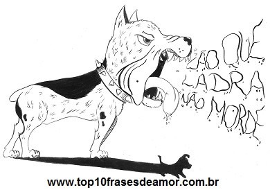 Cão que ladra não morde