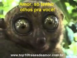 Só tenho olhos pra você! Só tenho olhos pra você!