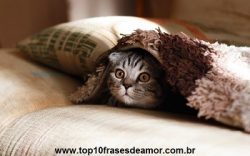 posicionar nos buscadores