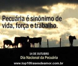 Parabéns aos Pecuaristas! Parabéns aos Pecuaristas!