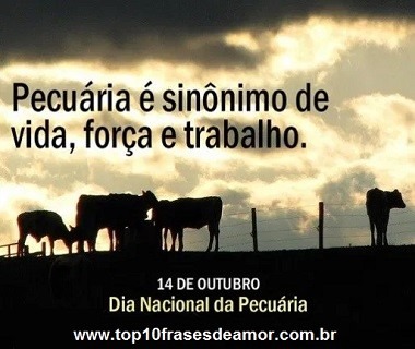 Parabéns aos Pecuaristas!