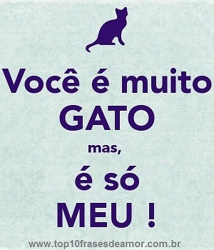Você é muito gato!
