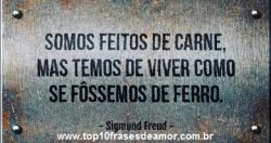 Somos feitos de carne Somos feitos de carne