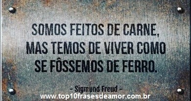 Somos feitos de carne