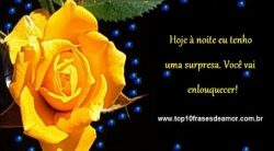 Você vai enlouquecer! Você vai enlouquecer!