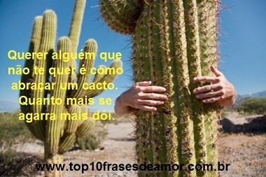 Querer alguém que não te quer