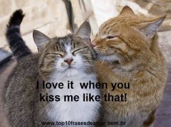 Never tire of kissing me!