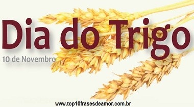 Feliz Dia do Trigo!