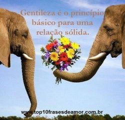 Gentileza também gera amor Gentileza também gera amor