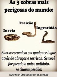 As 3 cobras mais perigosas As 3 cobras mais perigosas