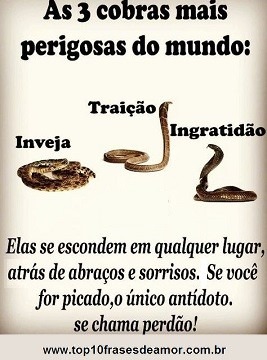 As 3 cobras mais perigosas