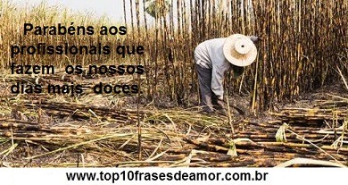 Cortador de cana-de-açúcar