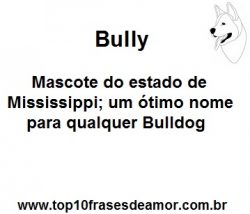 Bully Bully
